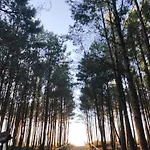 Rivendell * Mielno (Koszalin)