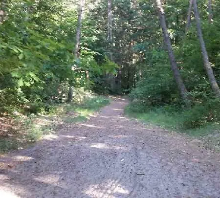 Rivendell * Mielno (Koszalin)