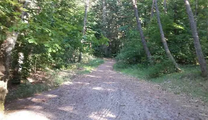 Rivendell * Mielno (Koszalin)